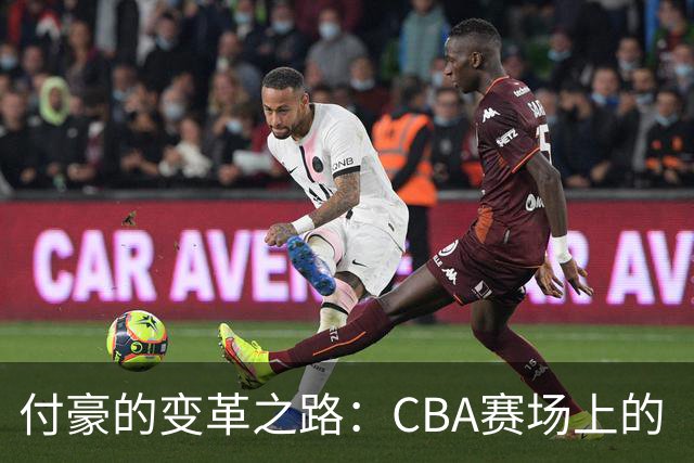 付豪的变革之路：CBA赛场上的“篮板王